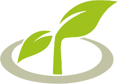 ノア・コーポレーション